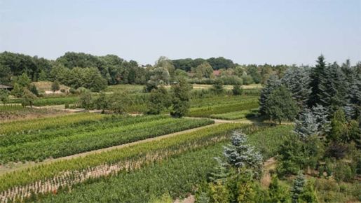 Baumschule mit angeschlossenem Pflanzenvertrieb
