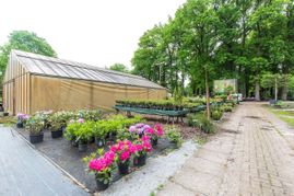 Bäumen und Pflanzen auf dem Pflanzenhof