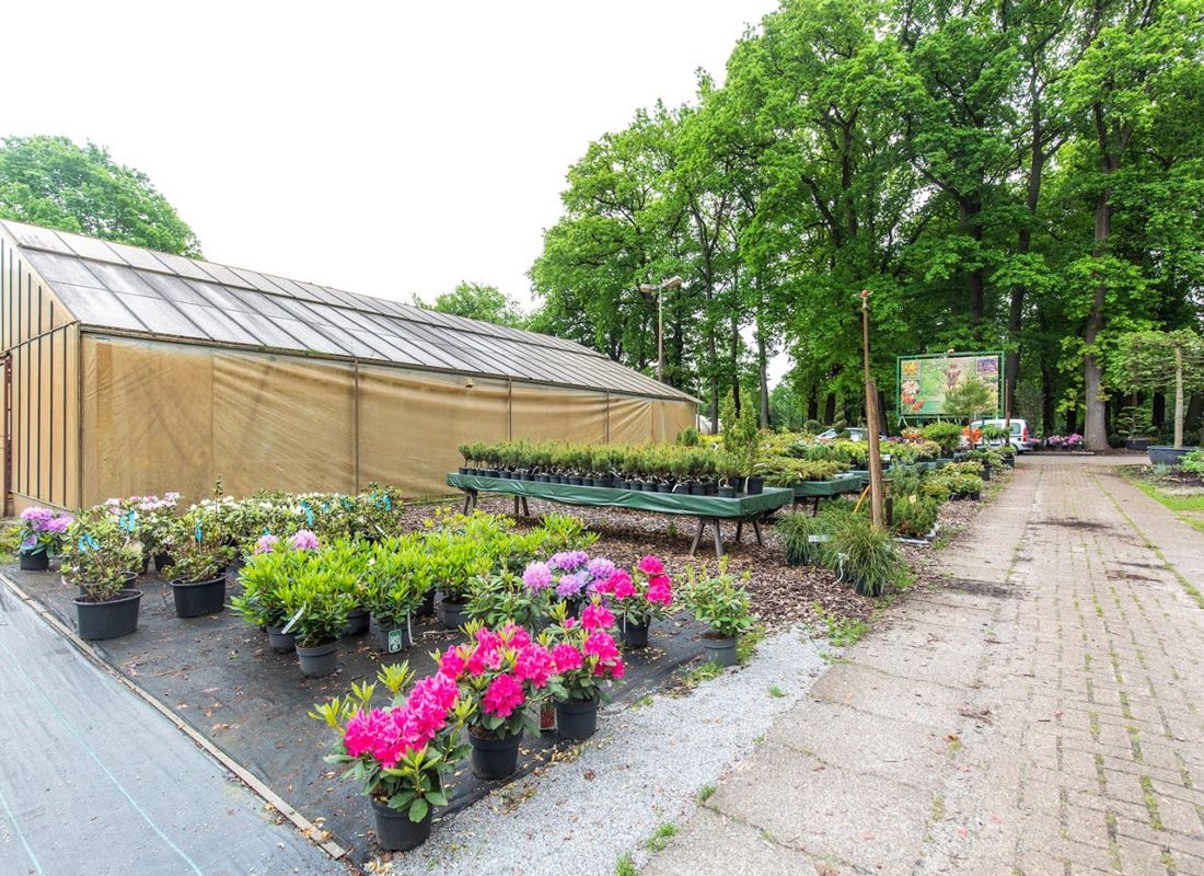 Bäumen und Pflanzen auf dem Pflanzenhof