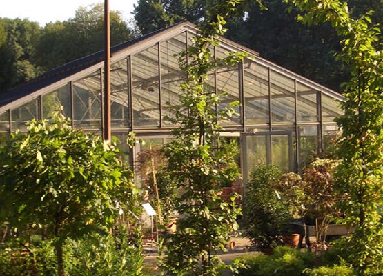 Baumschule mit angeschlossenem Pflanzenvertrieb