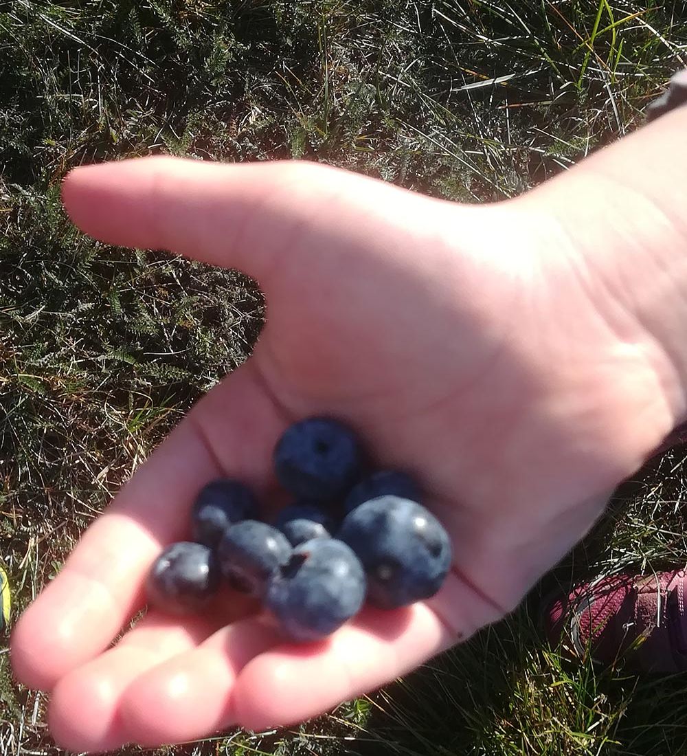 26. Juli 2021