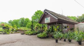 Bäumen und Pflanzen auf dem Pflanzenhof