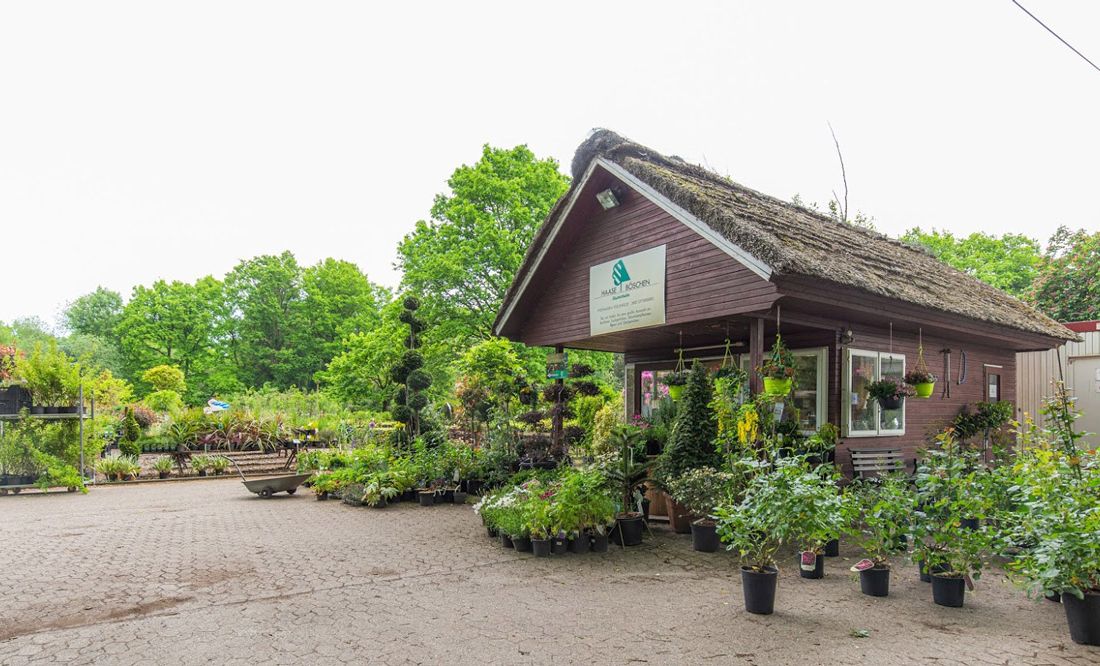 Bäumen und Pflanzen auf dem Pflanzenhof