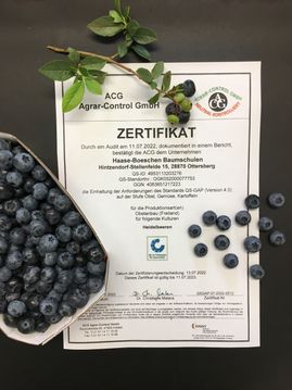Haase-Böschen GbR - Zertifikat