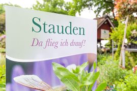 Bäumen und Pflanzen auf dem Pflanzenhof